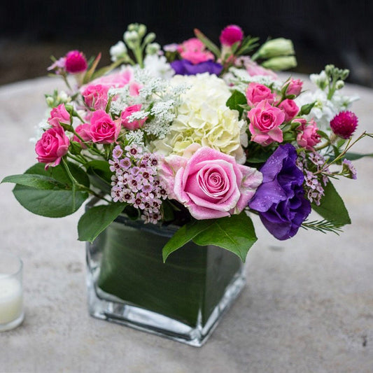 Modern Garden Charm