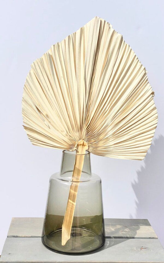 Palm Fan