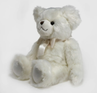 Aspin Teddy Bear